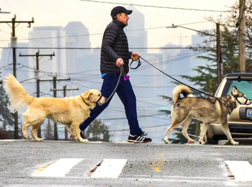 Seattle Pet Care