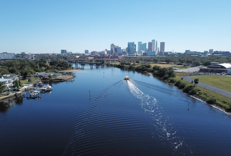 Tampa Pet-Friendly