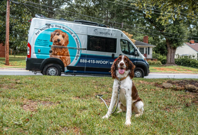 View of Hiring a Mobile Dog Groomer Near You