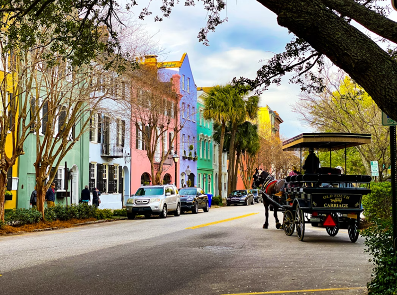 pet-friendly Charleston SC