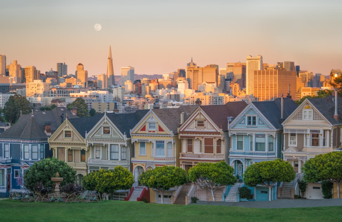 san francisco pet care