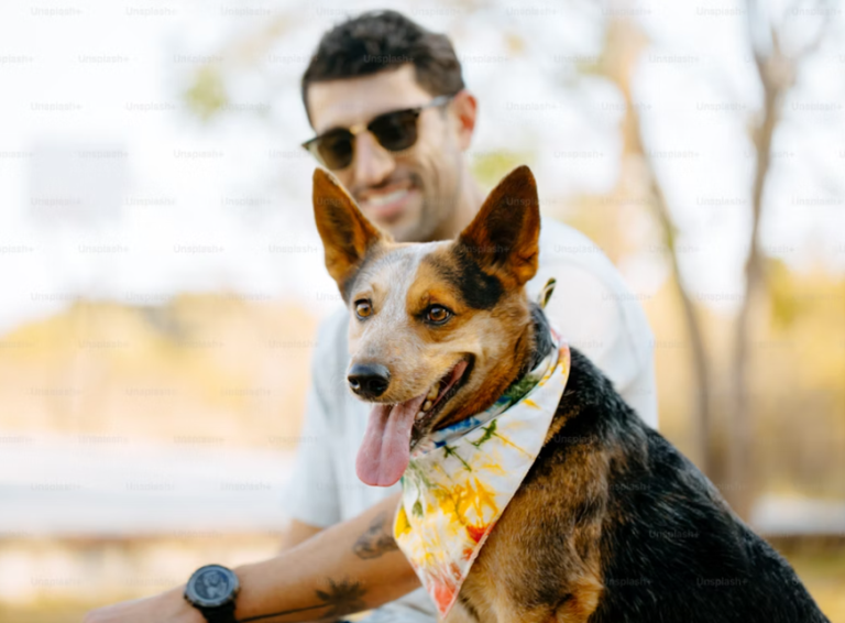 Dog Care