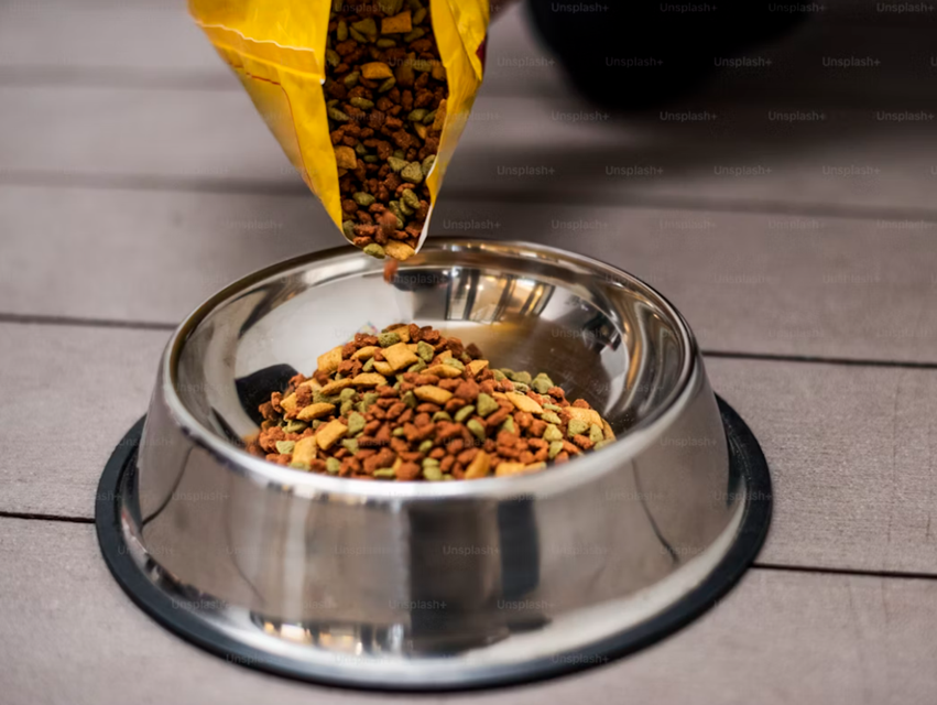 how to switch dog food