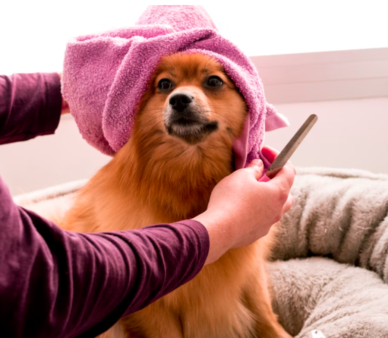 pet care business growth