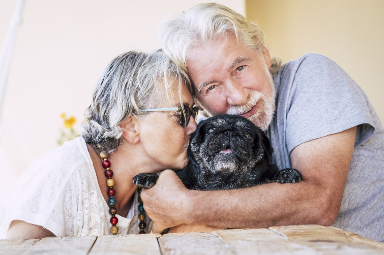 why use an animal communicator