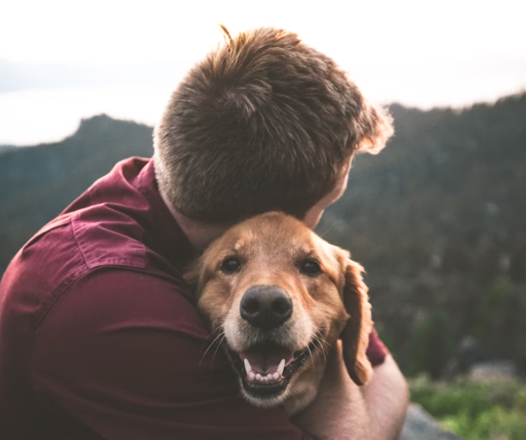 How to bond with a rescue dog