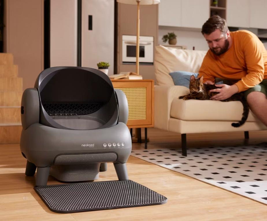 cat peeing outside litter box