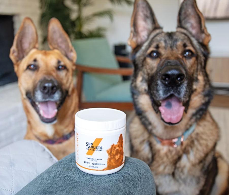 cbd gummies for dogs