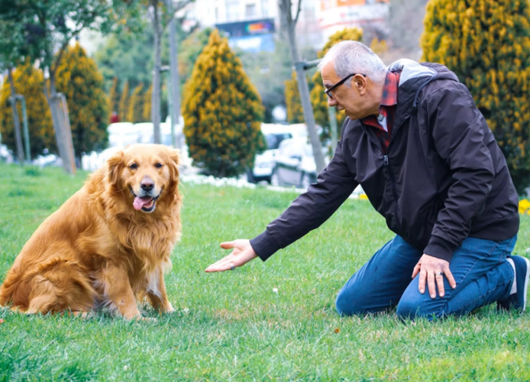dog training techniques