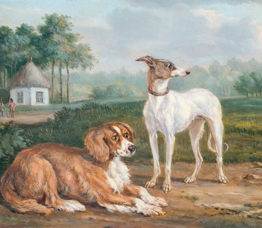 pet portraits from photos