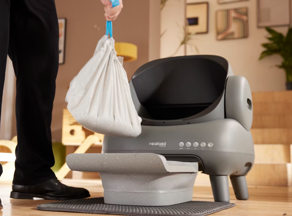 dog eating cat litter