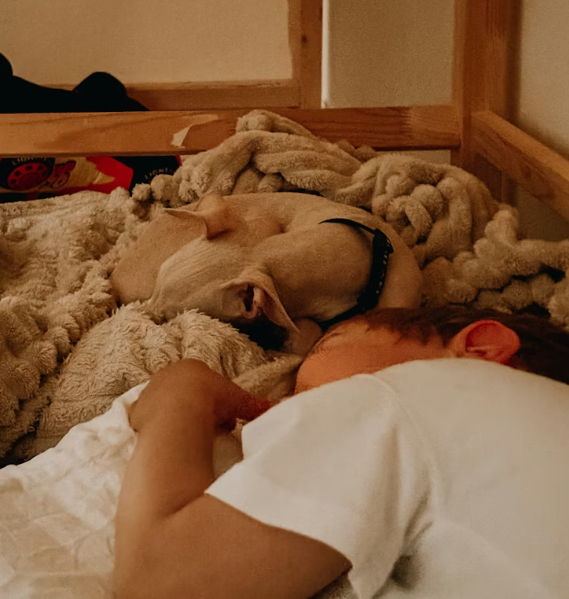 dogs sleeping with kids
