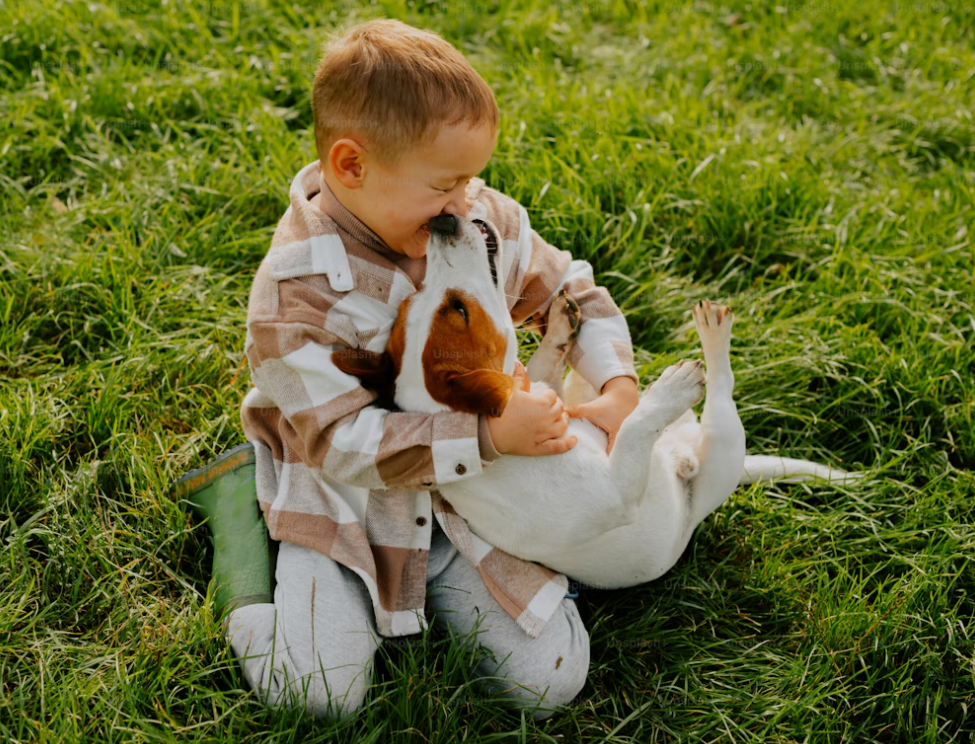 how to take care of a puppy