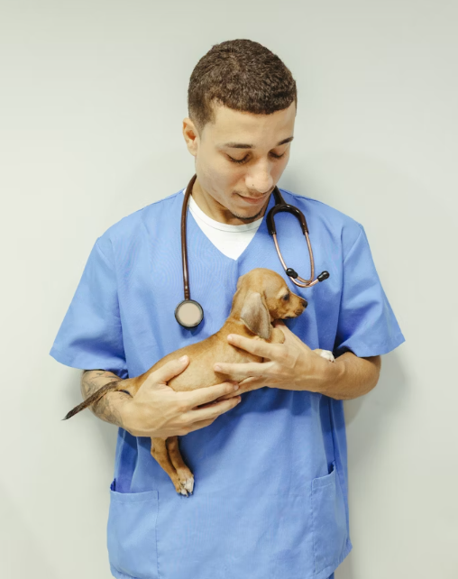 nervous pets at vets