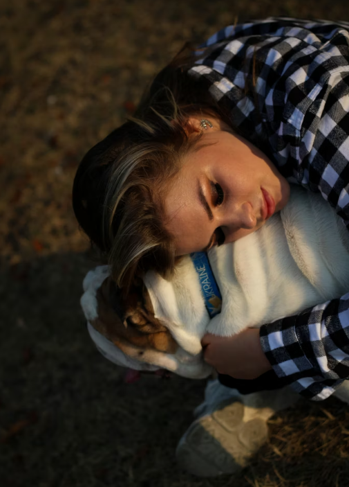 pet loss grief stages