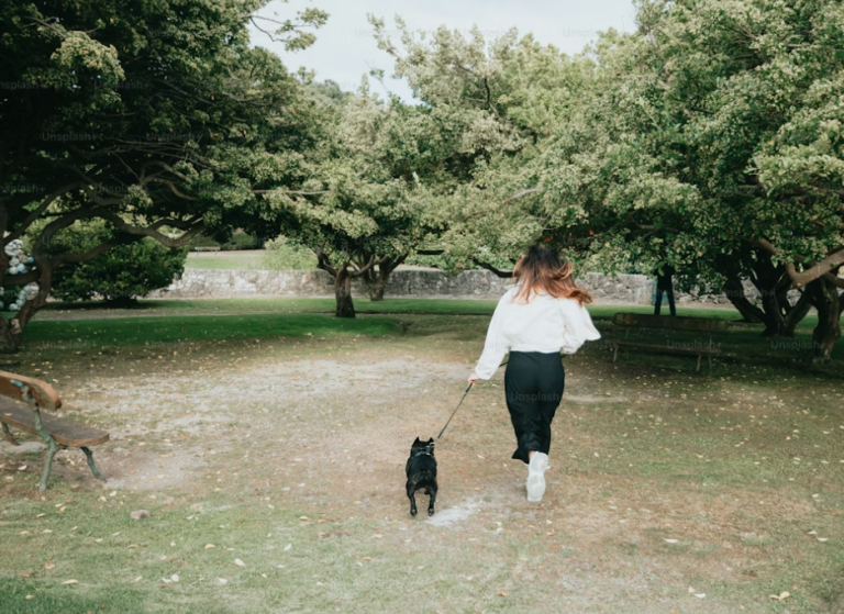 dog training and behavior support