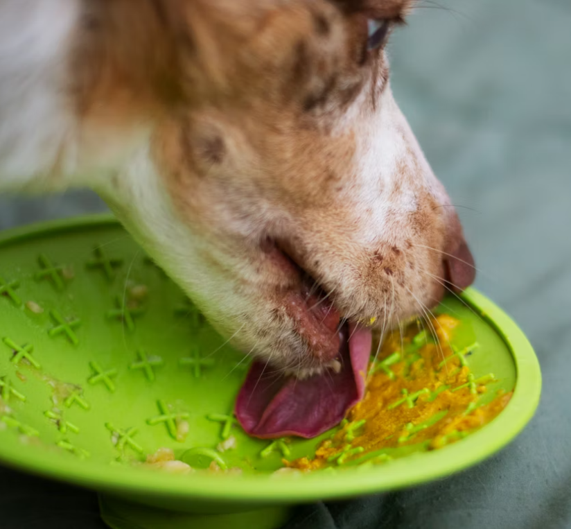macronutrients for dogs