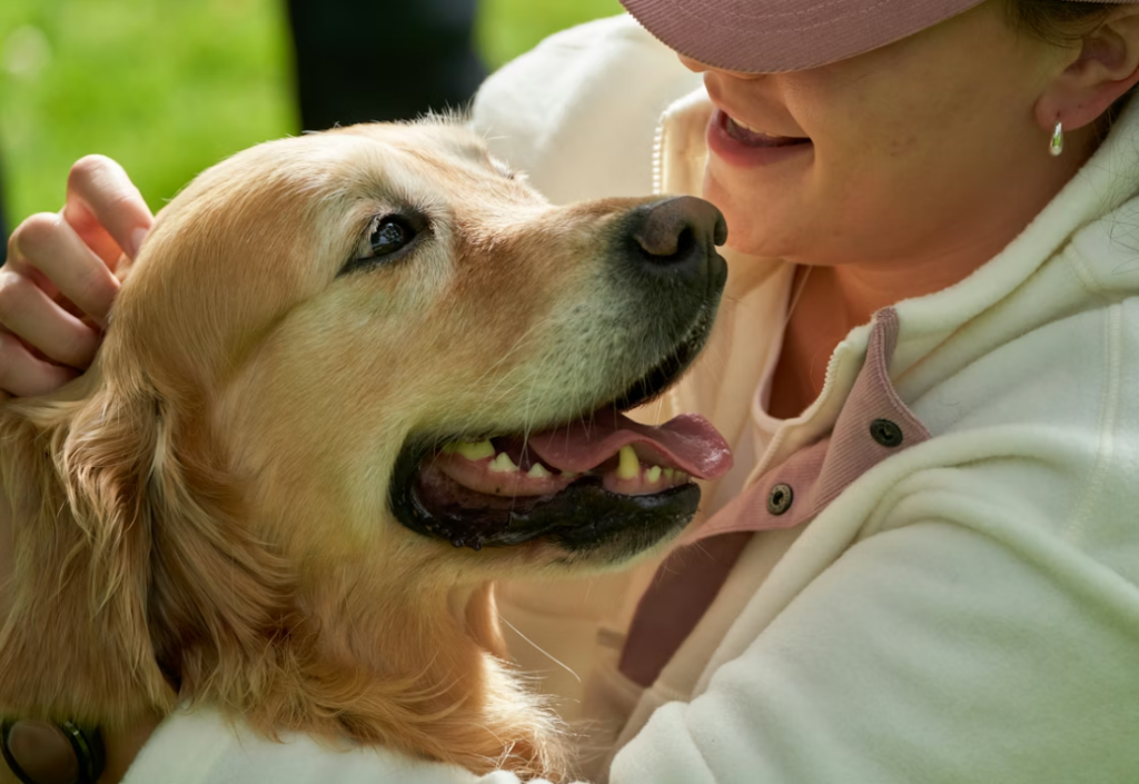 View of Holistic Dog Care For Golden Retrievers