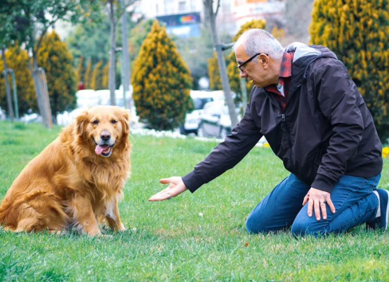 personal dog trainer