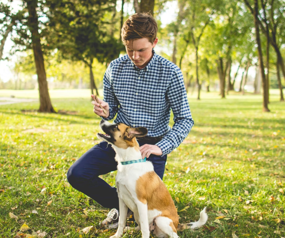 Dog Training In 2026 What s New And What Works Dog Training In 2026 What s New And What Works