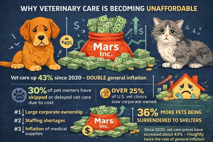 pet care costs