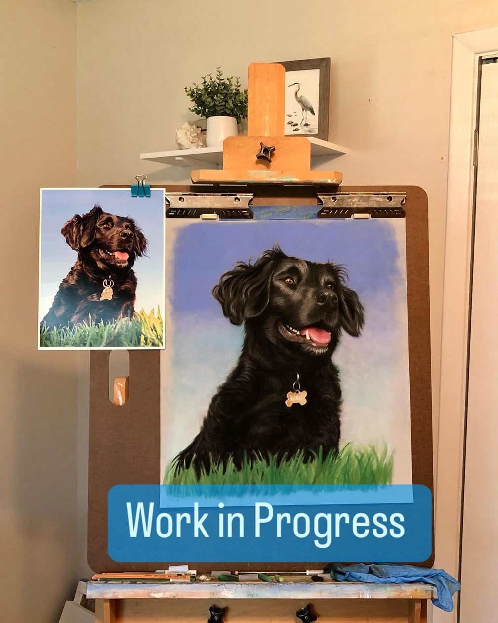 Pastel pet portrait by Heather Mitchell award-winning pet portrait artist nationwide