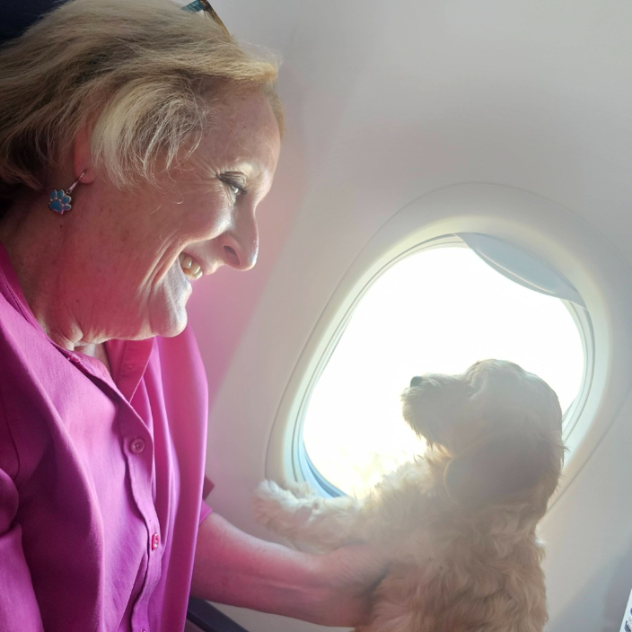 pet flight nanny service 4 Paws 2 You