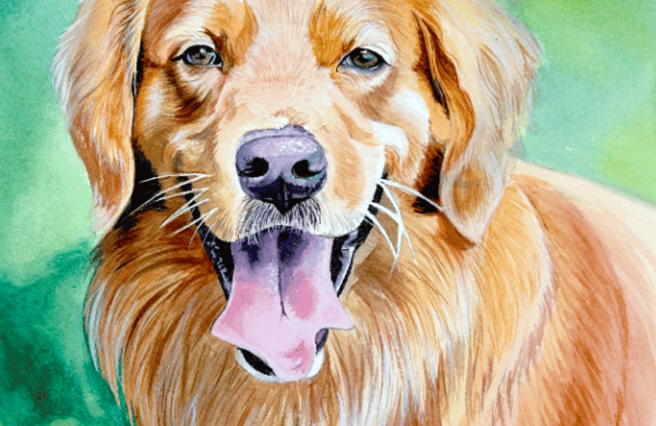 watercolor pet portrait artist Kait Amadio