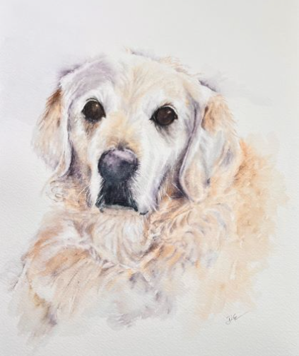watercolor pet portrait