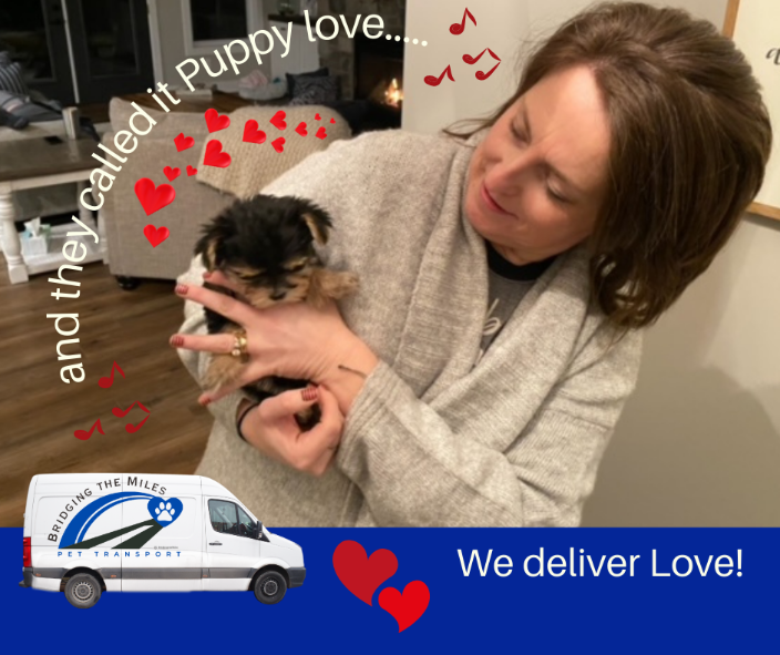 Bridging the Miles 4U Trusted Pet Transport