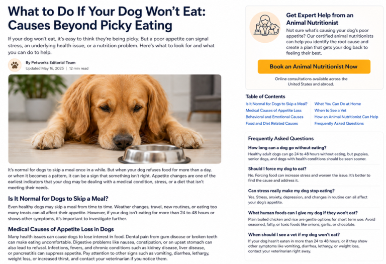 dog wont eat causes