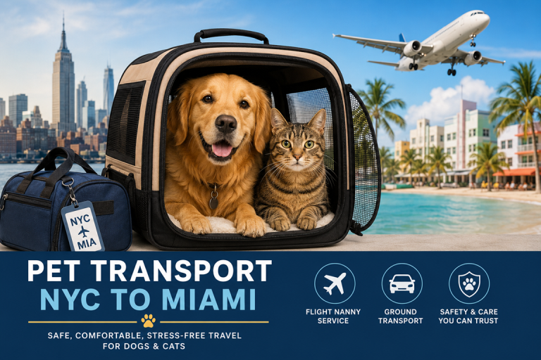 pet transport NYC to Miami