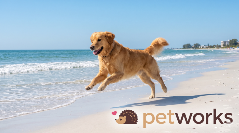 signs your dog needs a chiropractor