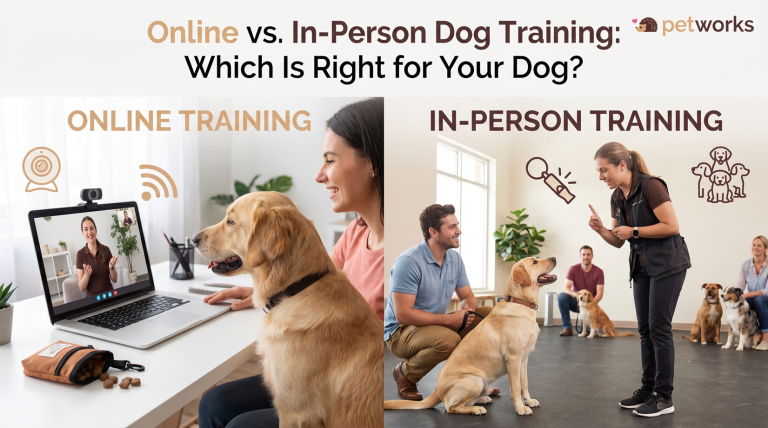 online vs in-person dog training