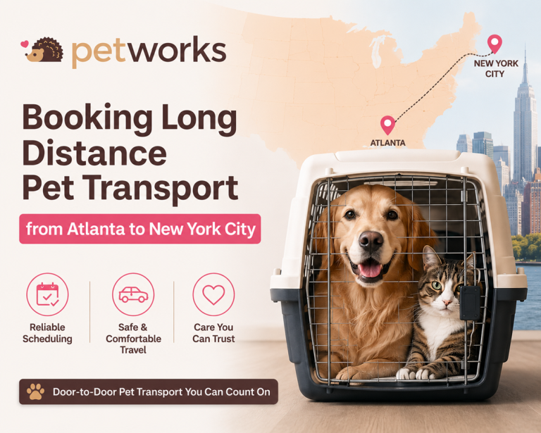 pet transport from Atlanta to New York City