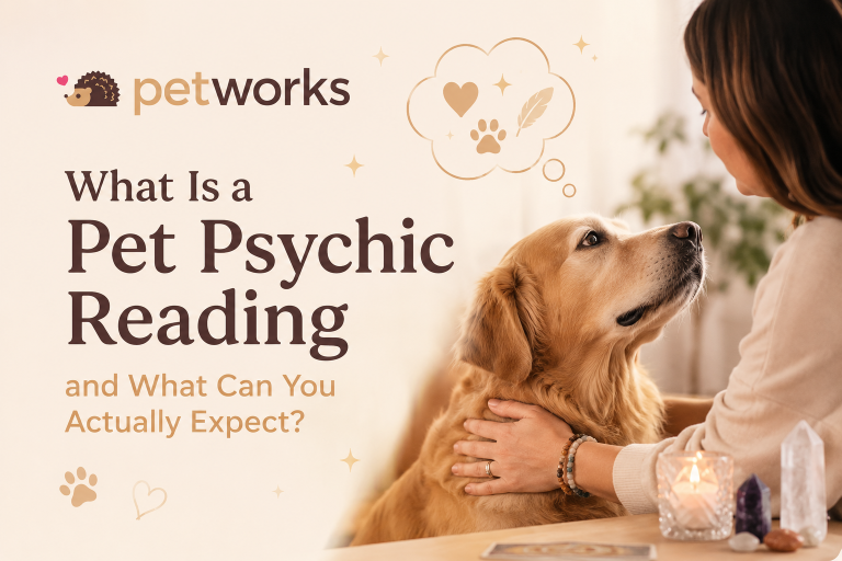 what is a pet psychic reading