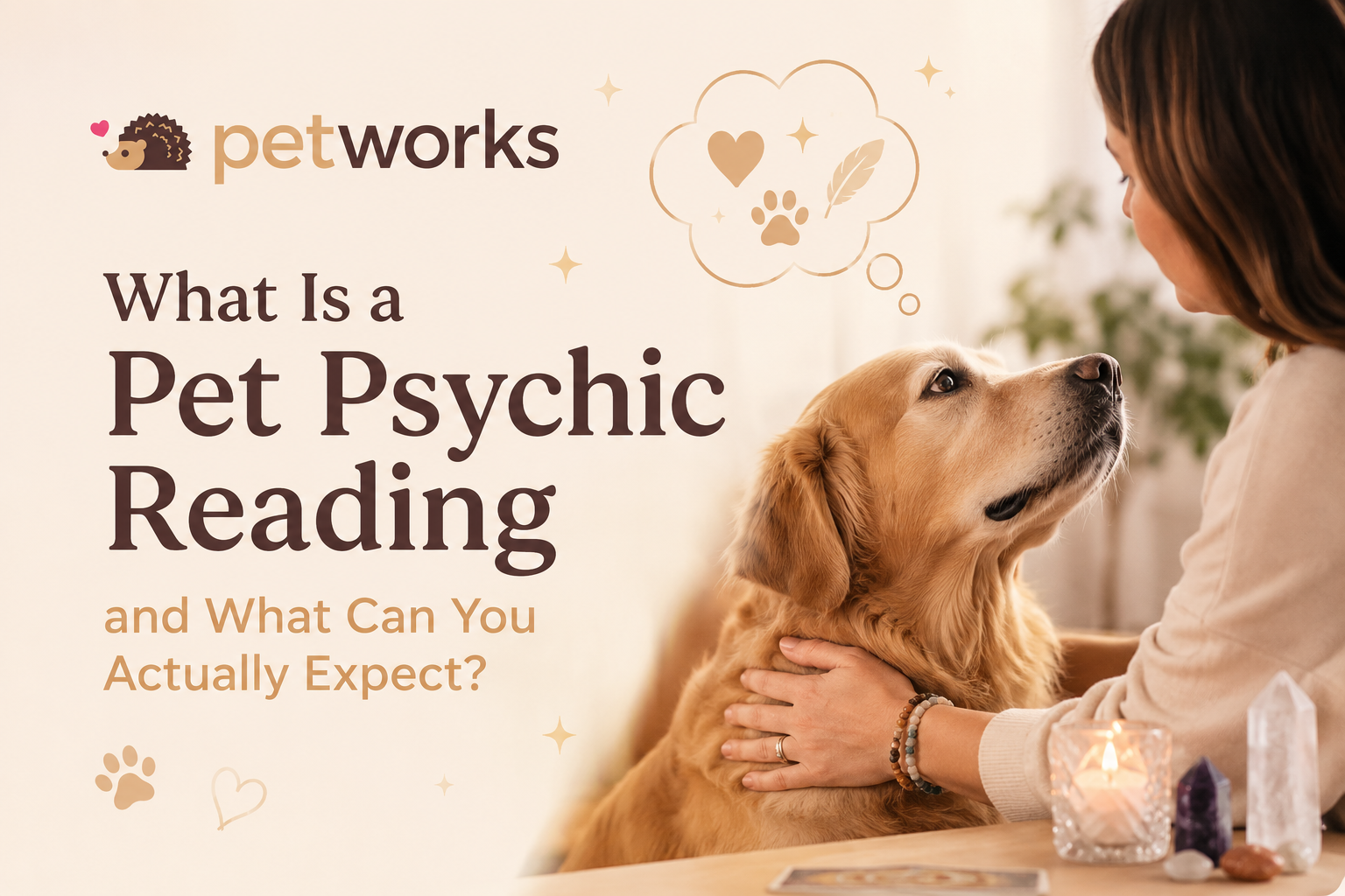 what is a pet psychic reading