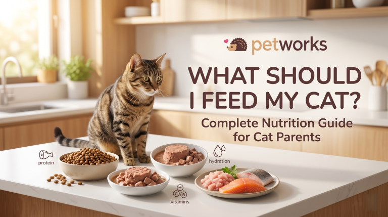 what should I feed my cat