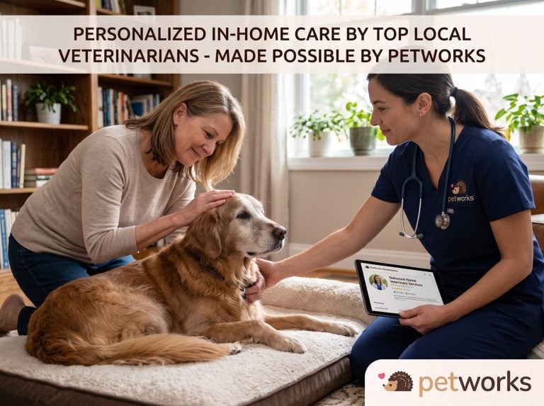 best in-home pet euthanasia services