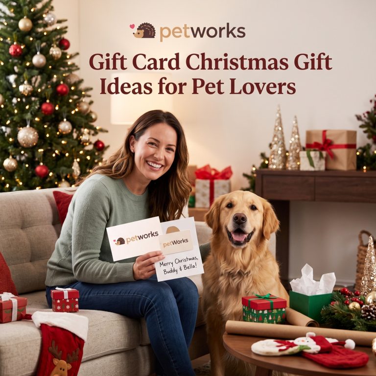 gift card christmas gift
