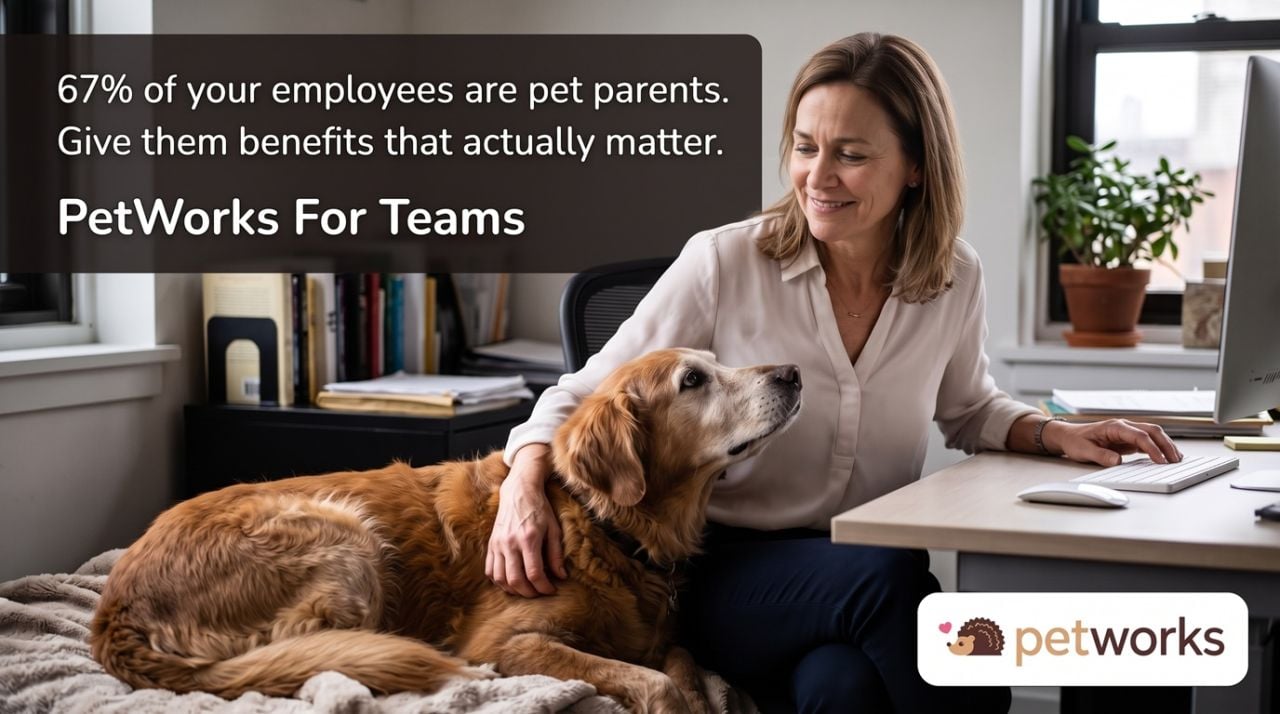 petworks for teams