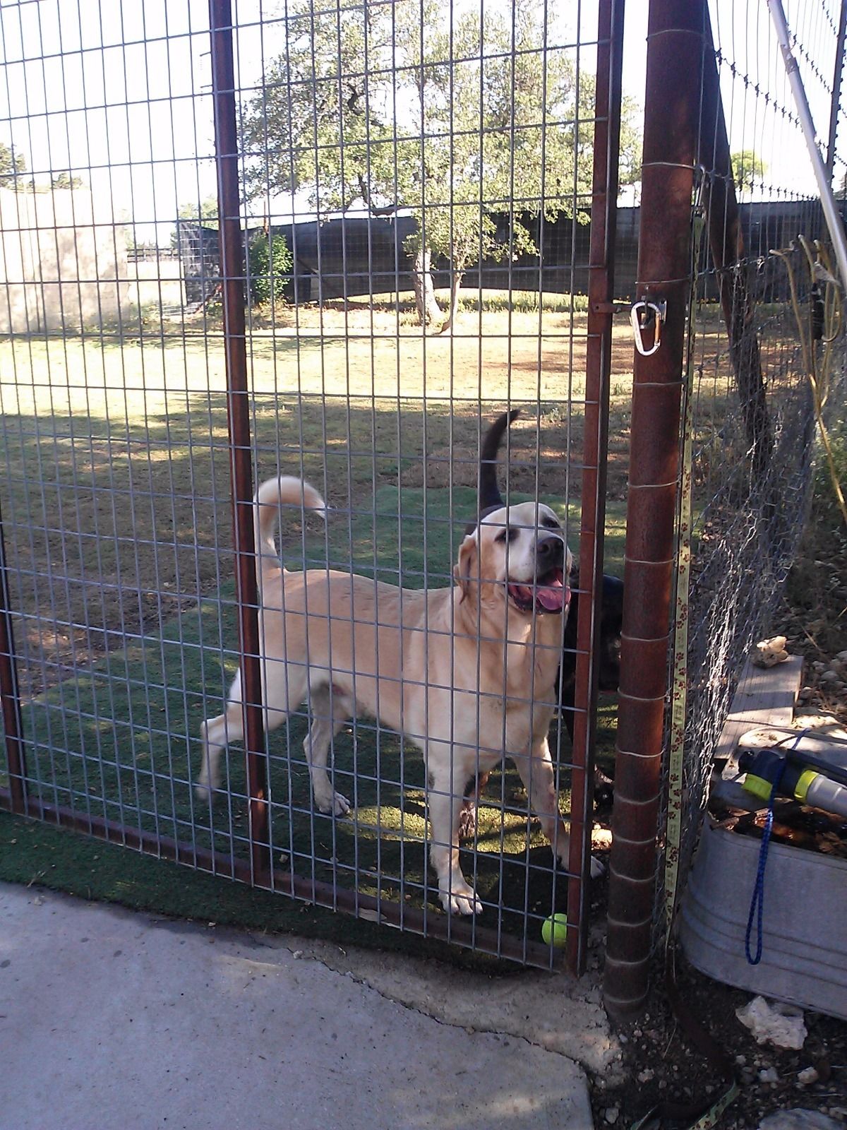 Big kountry kennels clearance