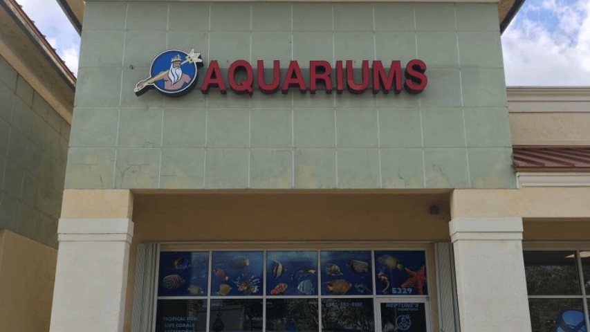 neptunes aquarium