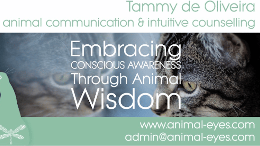 Animal Eyes Intuitive Animal Communication - South Africa - Southbroom,