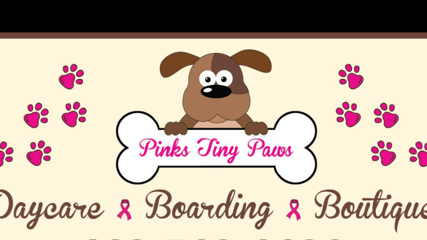 Tiny paws pet shop and grooming hotsell