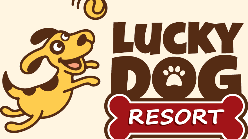 Lucky dog pet discount boarding