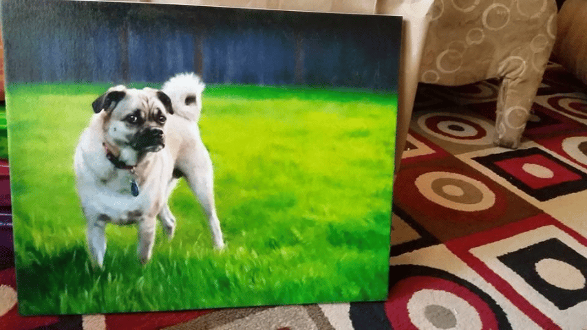 Dog Painting from a photograph