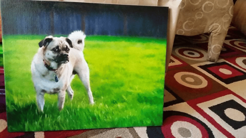 Dog Painting from a photograph