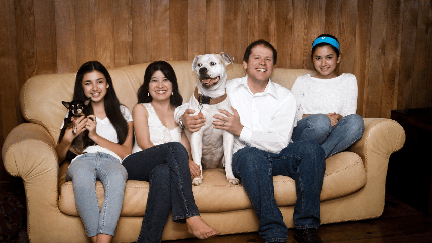 Family and their dogs