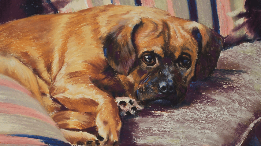 Second Chance, pastel, 18 x 14"